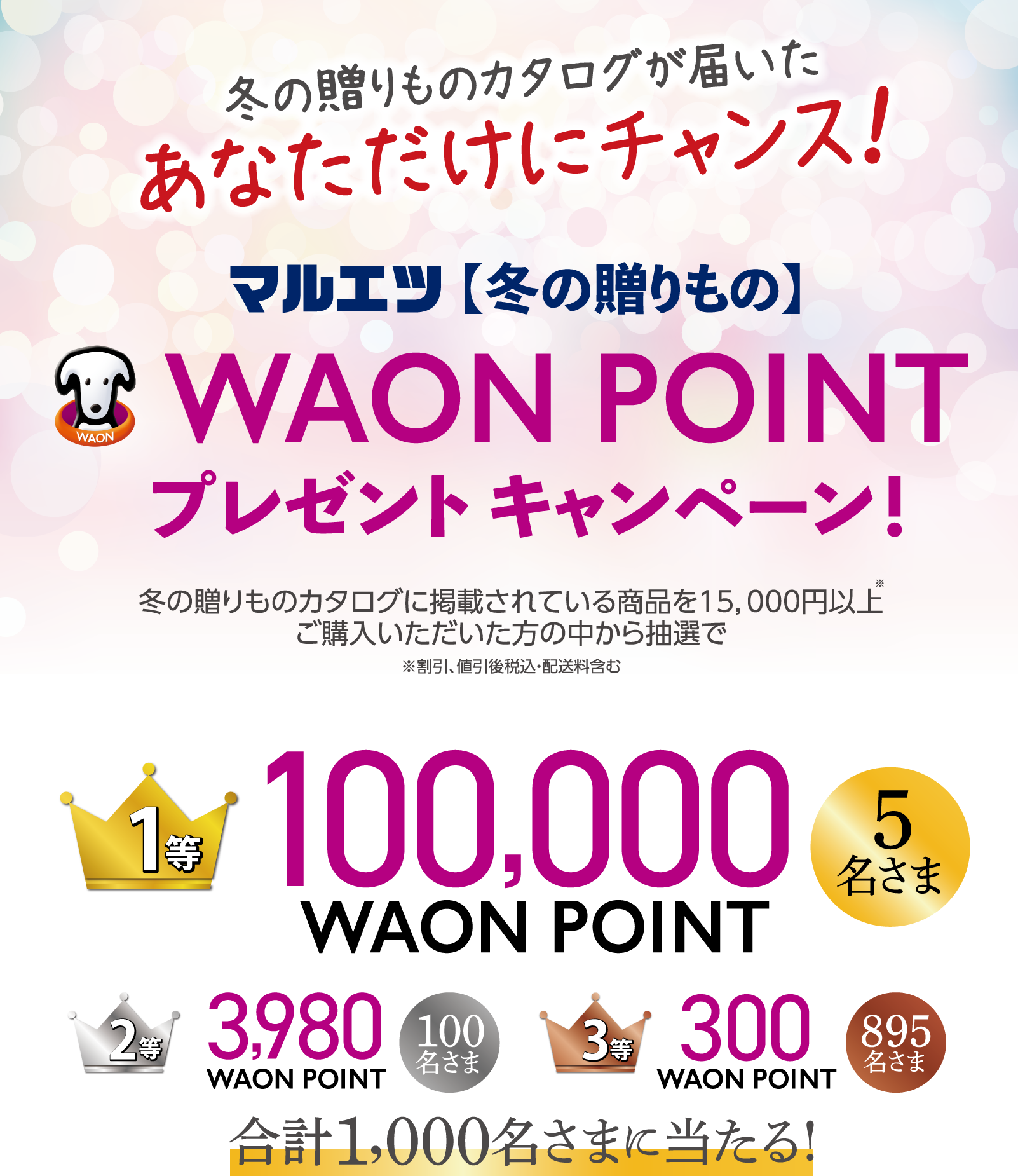 冬の贈りものカタログが届いた あなただけにチャンス！マルエツ【冬の贈りもの】WAON POINTプレゼントキャンペーン！